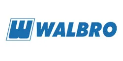 Piese Auto Walbro