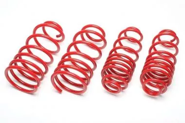 Sport spring kit BMW 3 series (E36) - EVOBM023F