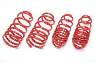 Sport spring kit BMW 3 series (E46) - EVOBM052F