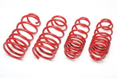 Sport spring kit BMW 5 series (E34) - EVOBM064F