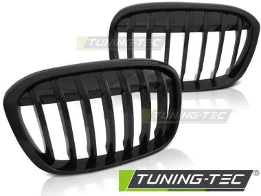 Grila radiator pentru BMW X1 F48 2015-  Tuning-Tec - GRBMA2