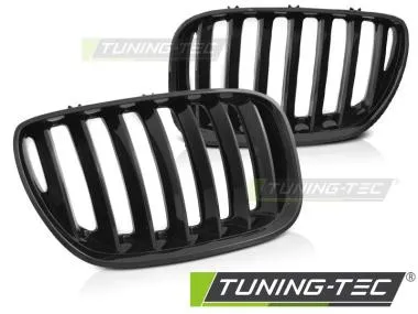 Grila radiator pentru BMW X5 E53 LCI 2004-2006 Tuning-Tec - GRBMB8
