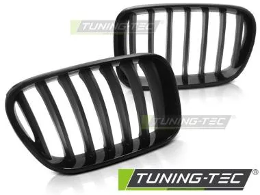 Grila radiator pentru BMW X3 F25 10-07.14 Tuning-Tec - GRBMB5