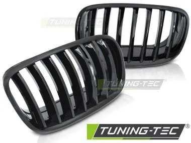 Grila GLOSSY BLACK pentru BMW X5 E70 X6 E71 08- - GRBMD1