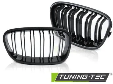 GRILA SPORT GLOSSY BLACK pentru BMW F20 / F21 11-14 - GRBMD5