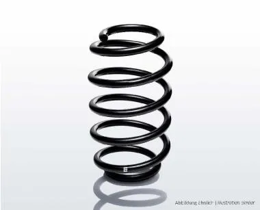 Arc spate Sport Pro-Kit pentru VW Golf IV - R10054