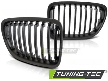 Grila radiator pentru BMW X1 (E84) 10.2009-08.2012 Tuning-Tec - GRBM60