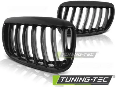 Grila radiator pentru BMW X5 E53 2004-2006 Tuning-Tec - GRBM70