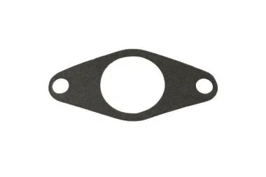 Garnitura de flansa BOV MAZ/SUB - TS-0205-3107