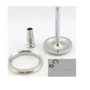 Set supapa si ghidaj GenV WG60 - TS-0555-3002