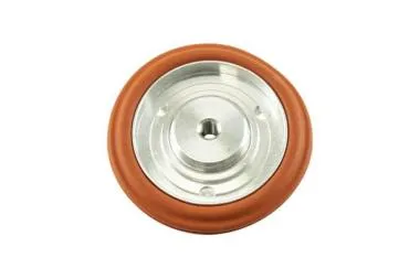 Inlocuire ansamblu diafragma IWG75 TP - TS-0600-2003