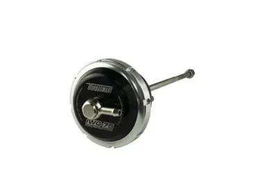 IWG75 BW B2 Single/Twin scroll 14 PSI - TS-0620-3142