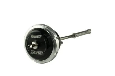 IWG75 Ford Mustang 2015 Turbonetics/Precision NX2 2.3L Ecoboost 14psi - TS-0622-1003