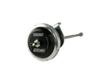 IWG75 Ford Focus ST 2.0L Ecoboost 7 PSI - TS-0622-5072