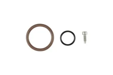 Capul de ulei - LS O-Ring - TS-0893-3002