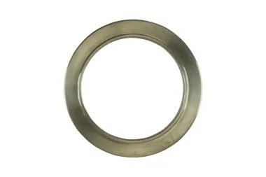WG40 Flansa de sudura de iesire din titan - TS-0505-3019