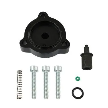 Supapa DV+ valve pentru Mini,  Citroen si Peugeot FMIC.EU - BOV-T9352-BK