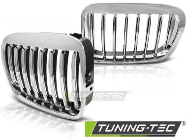 Grila pentru Bmw E46 05.1998-08.2001 Tuning-Tec - GRBM04