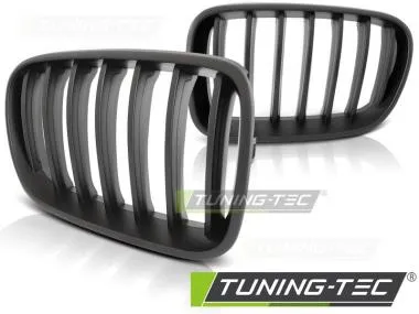 Grila radiator Bmw X3 F25 10-07.14  Tuning-Tec - GRBM66