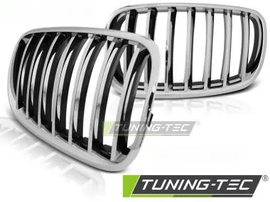 Grila radiator pentru Bmw X5 E70 X6 E71 08- Tuning-Tec - GRBM32