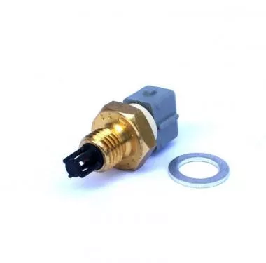 Intake air temperature sensor - IAT