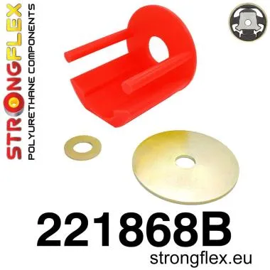 Insertie inferioara a suportului motorului - 221868B