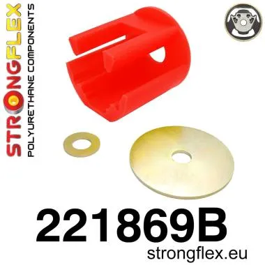 Insertie inferioara a suportului motorului - 221869B