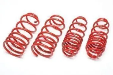 Kit arcuri sport pentru A3,  Leon,  Toledo,  Bora,  Golf IV Ta-Technix - EVOVW060F